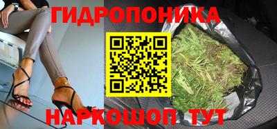 прущий лед Новозыбков