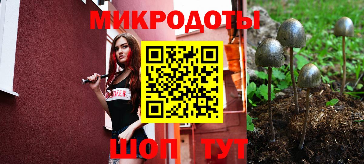 Азнакаево  Псилоцибиновые грибы Magic Shrooms  Вход с VPN 